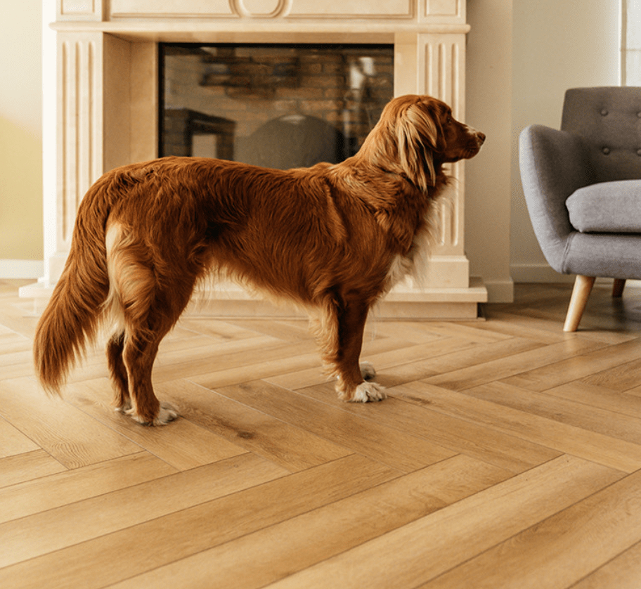 Parquet pour votre salon, ton clair, parquet à chevron