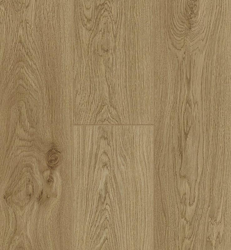 Parquet Berry Alloc Trendline Daisy Corsica