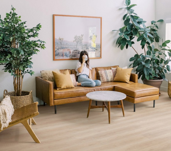 Sol Vinyle Douro XL 228 Forest